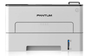 Pantum L2300DW