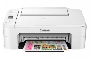 Canon PIXMA TS3166 Driver Download