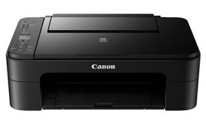 Canon PIXMA TS3100 Driver Download