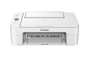 Canon PIXMA TS3165 Driver Download