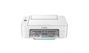 Canon PIXMA TS3365 Driver Download